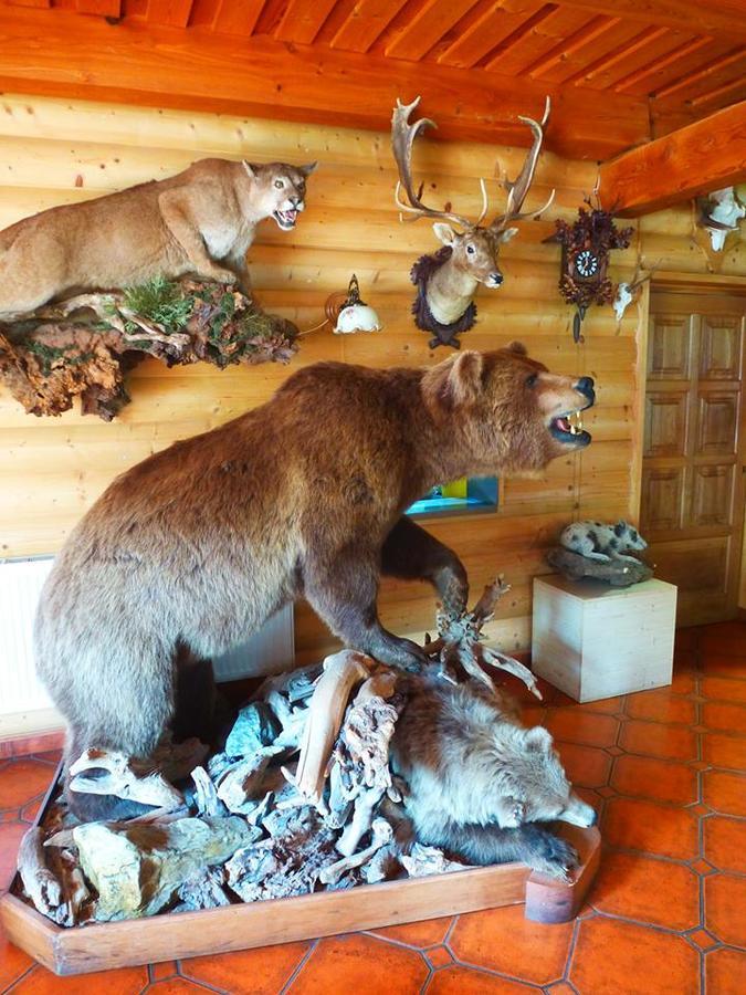 Pension Grizzly Ludvíkov Exterior foto