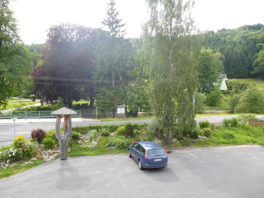 Pension Grizzly Ludvíkov Exterior foto